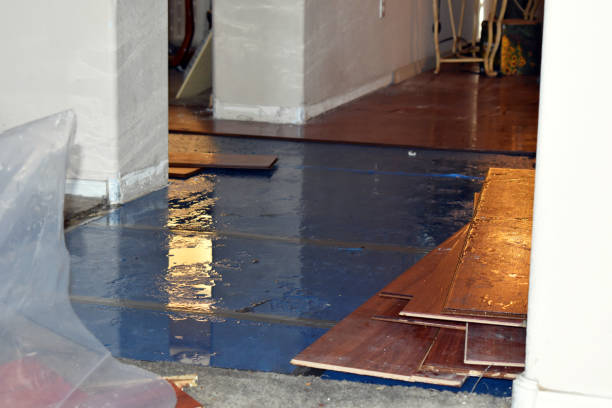 Professional Flood Damage Repair technician working in Morgantown, IN